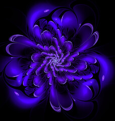 Illustration. Abstract image. Fractal. 3D. Decorative blue flower spiral on a black background. Graphic element for web design.