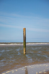 Wooden poles at the sea