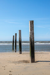 Wooden poles at the sea