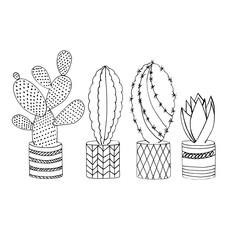 Set of hand drawn cacti in flower pots on white background lineart.
