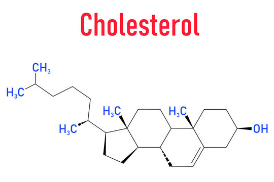 Cholesterol molecule. Essential component of cell membranes and precursor of steroid hormones, bile acids and vitamin D. Skeletal formula.