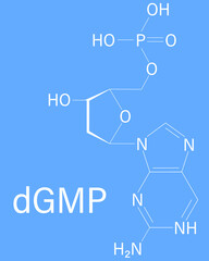 Deoxyguanosine monophosphate or dGMP nucleotide molecule. DNA building block. Skeletal formula.