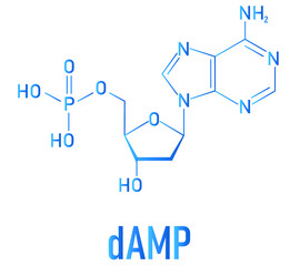 Deoxyadenosine monophosphate or dAMP nucleotide molecule. DNA building block. Skeletal formula.