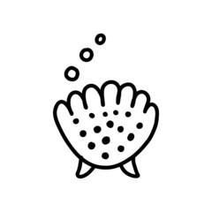 seashell sketch. vector illustration in doodle style 