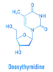 Deoxythymidine or Thymidine nucleoside molecule. DNA building block. Skeletal formula.
