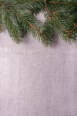 Natural spruce coniferous green branches on a grey linen tablecloth background. Festive decoration...