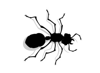 ant vector illustration top view working shdow white background