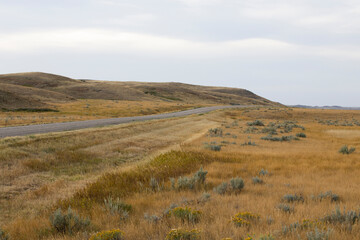 Road amongst rolling hills during golden hour at Grasslands National Park, Canada