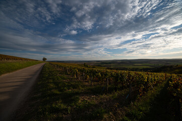 Naklejka premium Irancy 3