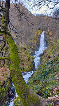 Xiblu waterfall, MOntegrande wood, Teverga, Asturias, Spain