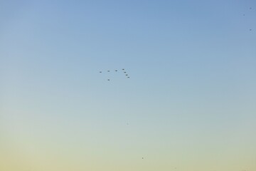 Beautiful view of military airplanes building christmas tree silhouette in blue sky winter day. Sweden. 