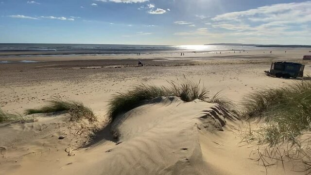 beach at Camber sands East Sussex UK - view of Camber Sand dunes with sky sea and sea grass holding dunes together