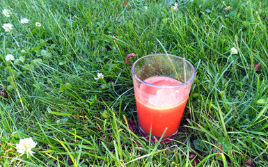 A glass of smoothie standing in a clover meadow.
