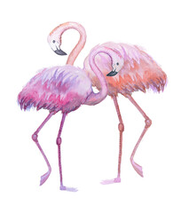 Two watercolored pink flamingos on a white background.