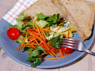Healthy meal of tuna sandwich and salad medium shot