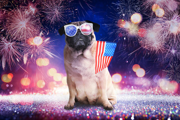 4th of July - Independence Day of USA. Cute dog with sunglasses and American flag on festive...