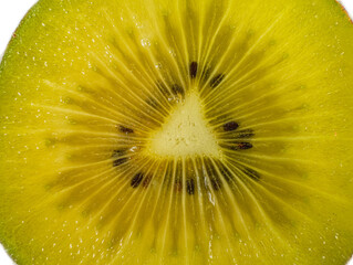 fresh juicy kiwi slice on white background isolated. macro photo very close in detail