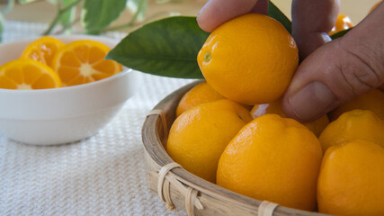 金柑・kumquat・cumquat