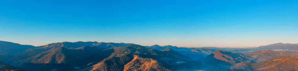 Autumn forest at dawn with low clouds.