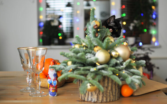 Natural herringbone with christmas decor and black cat on the table
