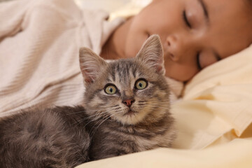 Cute little child with kitten sleeping in bed, focus on pet