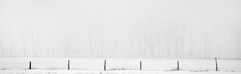 fence posts in the fog, winter fog, peaceful, serene, cold, misty, foggy field, bare trees
