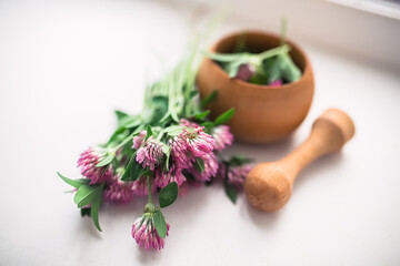still life with Trifolium pratense, red clover Flowers collected in the meadow in a wooden mortar....