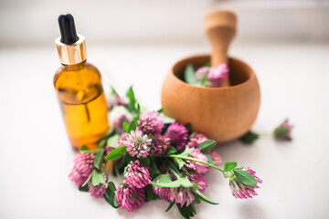 still life with Trifolium pratense, red clover Flowers collected in meadow in a wooden mortar. Essential oil in pharmacy bottle with pipette at cosmetologist in salon.