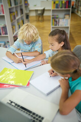 Fototapeta na wymiar Girls and boy doing lessons in library