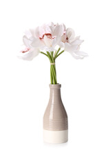 Vase with bouquet of beautiful orchid flowers on white background