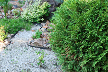 Beautiful green park on summer day