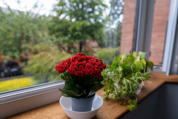 bouquet of flowers