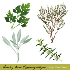 Parsley, Garden Sage, Rosemary and English Thyme, Classic herb blend. Isolated on white background. Immortalized in traditional English ballad "Scarborough Fair". 