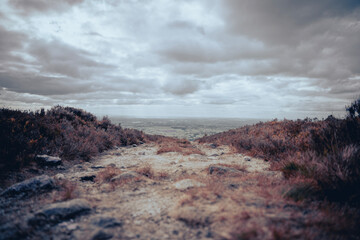 clouds in the mountains