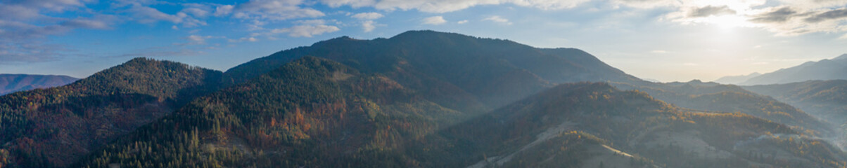 Autumn deciduous forest top view, natural background or texture.