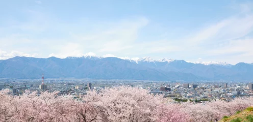 Gordijnen 長野県松本市の弘法山古墳の春の満開の桜と北アルプス © apiox