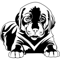 Cute puppy SVG design, dog SVG, Animal prints