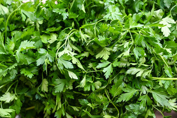 Fresh parsley for sale at vegetable market, close up. Boxes full of raw parsley in shop. Organic parsley at the greengrocer's stall. Vegetable.