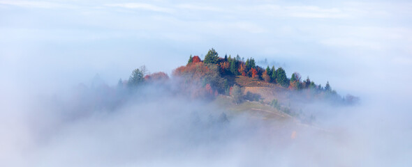 Mystical red beech forest panorama. Natural background.