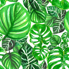 watercolor pattern of green tropical monstera leaves palm leaf wild