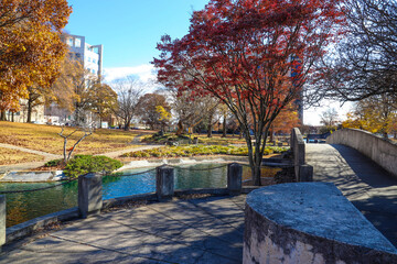 a gorgeous shot of an autumn landscape in the park with a stone bridge over the lake surrounded by...