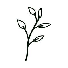 black and white flower