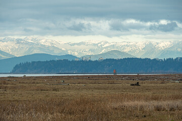 view over the wetland on an overcast day with mountain range covered in snow under the thick cloud over the horizon