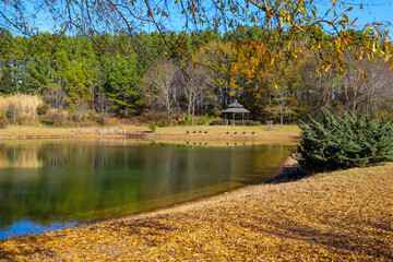 a gorgeous shot of a still lake surrounded by lush green and autumn colored trees reflecting off...