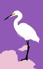 egret