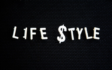Word Art showing Lifestyle with a Dollar Sign. Could be used with another graphic or a header. 