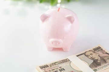 豚の貯金箱とお金のイメージ02
