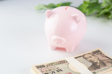 豚の貯金箱とお金のイメージ03