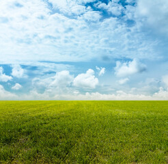 Obraz premium beautiful summer fields