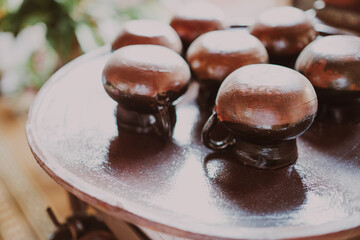 Mud Cup
